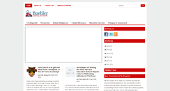 Desktop Screenshot of buehlereducation.com